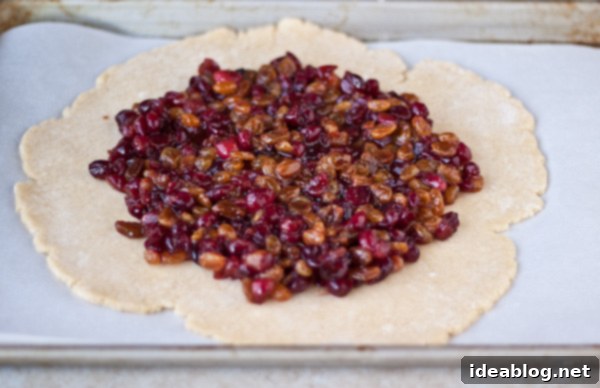 Sweet and Tangy Cranberry Raisin Tart 5 Step-by-step image showing how to assemble a Cranberry Raisin Tart.