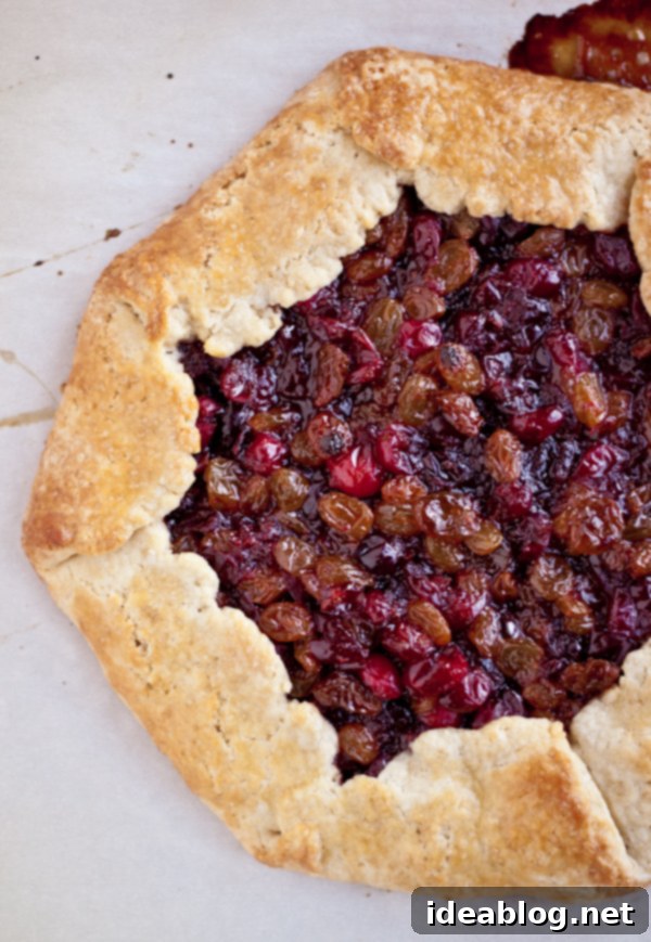 Sweet and Tangy Cranberry Raisin Tart 6 Beautifully baked Cranberry Raisin Tart, golden brown and ready to serve.