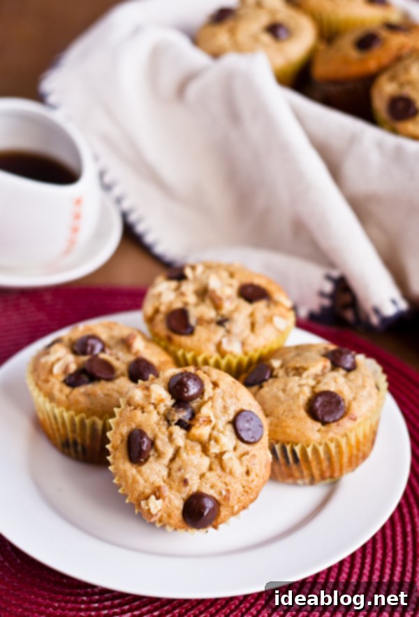 Banana Bliss Muffins 2 Banana Chip Muffins