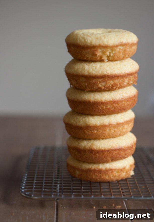 Moist Olive Oil Baked Doughnuts with Rich Dark Chocolate Glaze 4 A delectable stack of freshly baked olive oil doughnuts, showcasing their golden-brown hue and inviting texture, awaiting their chocolate glaze.