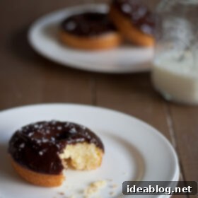 Moist Olive Oil Baked Doughnuts with Rich Dark Chocolate Glaze 6 Baked Olive Oil Doughnuts with Dark Chocolate Glaze