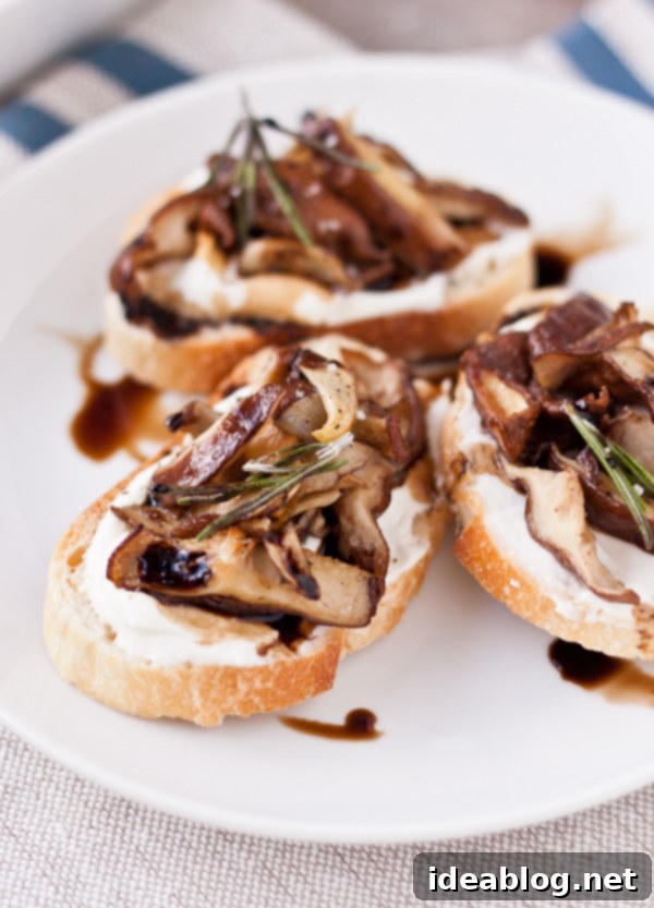 Creamy Ricotta and Savory Mushroom Crostini 2 Roasted Mushroom Crostini with Whipped Ricotta