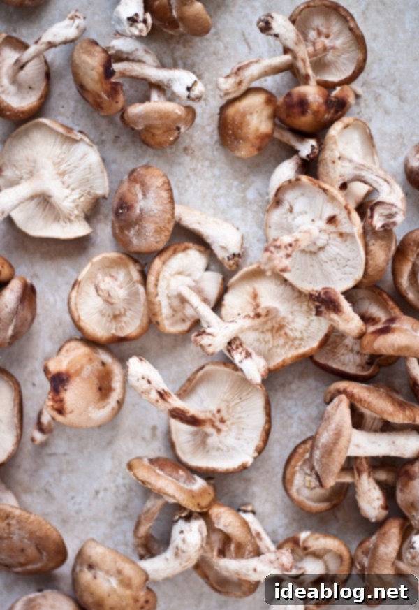 Creamy Ricotta and Savory Mushroom Crostini 3 Fresh Shiitake Mushrooms Ready for Roasting