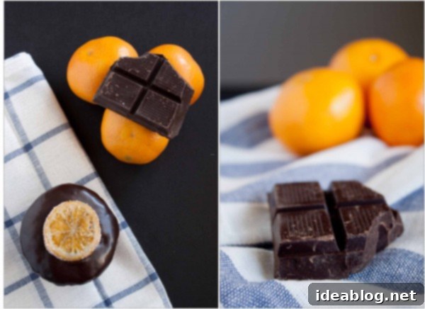 Gilded Citrus Chocolate Clementine Cupcakes 4 Chocolate Clementine Cupcakes with Candied Citrus Slices