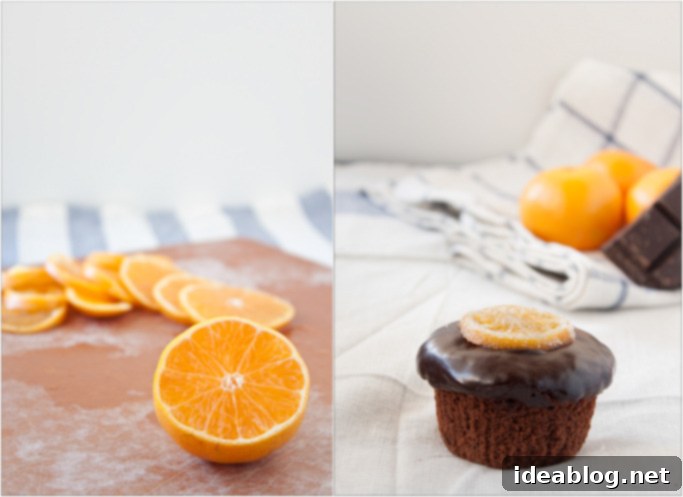 Gilded Citrus Chocolate Clementine Cupcakes 5 Chocolate Clementine Cupcakes with Candied Citrus Slices