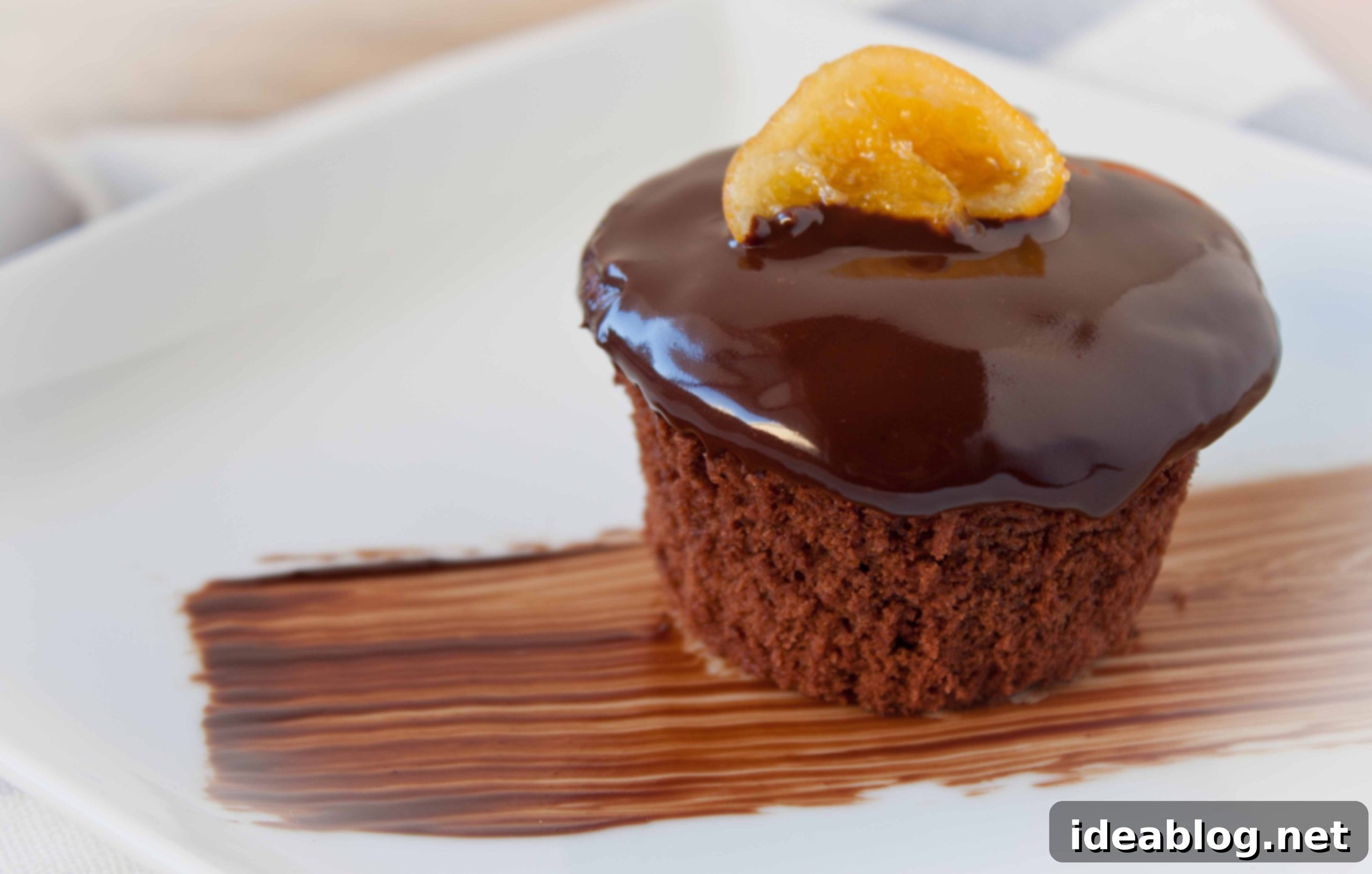 Gilded Citrus Chocolate Clementine Cupcakes 6 Chocolate Clementine Cupcakes with Candied Citrus Slices