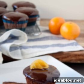 Gilded Citrus Chocolate Clementine Cupcakes 7 Chocolate Clementine Cupcakes with Candied Citrus Slices