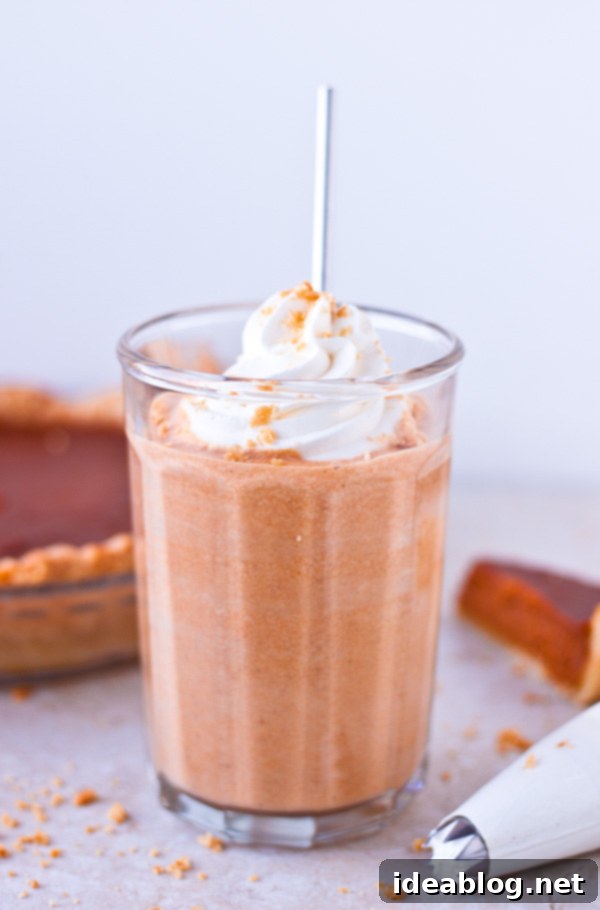 Thanksgiving Pie Shake Makeover 6 Leftover Pumpkin Pie Milkshake