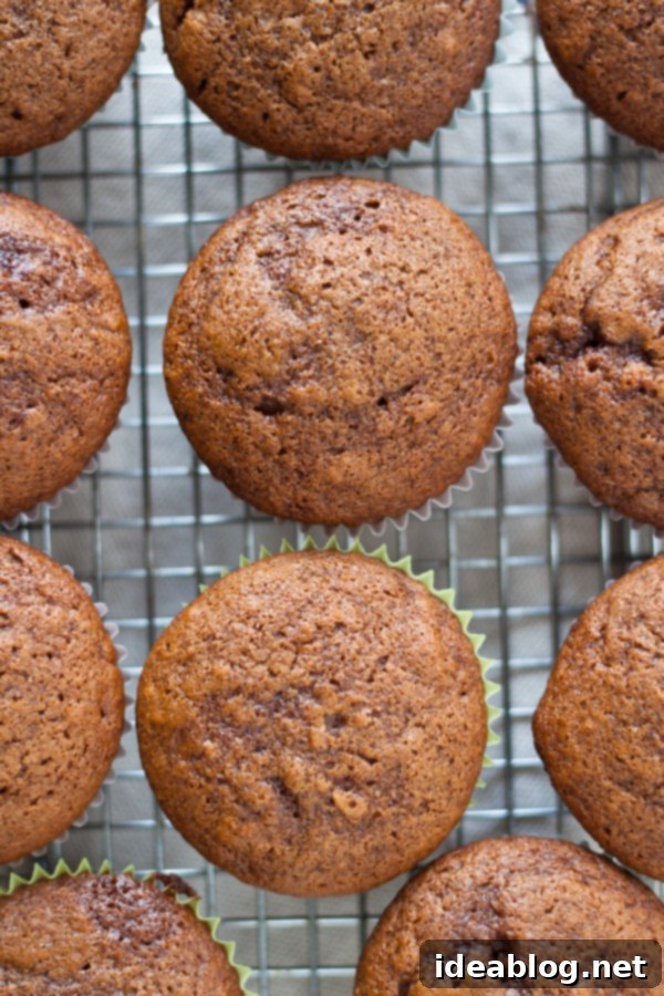 Pomegranate-Kissed Gingerbread Clouds 5 Freshly baked gingerbread cupcakes cooling evenly on a wire rack, ready for frosting