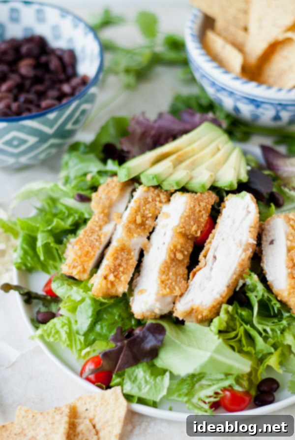 Crispy Tortilla Chicken Salad with Fresh Cilantro Dressing 2 Tortilla Crusted Chicken Salad with Cilantro Dressing - Full Dish