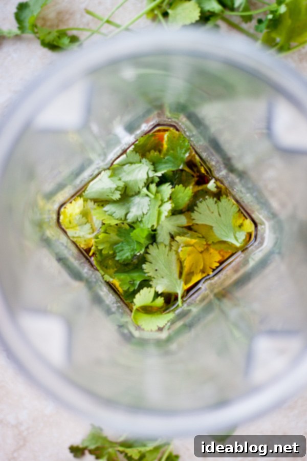Crispy Tortilla Chicken Salad with Fresh Cilantro Dressing 3 Fresh Cilantro Dressing Blending in Blender