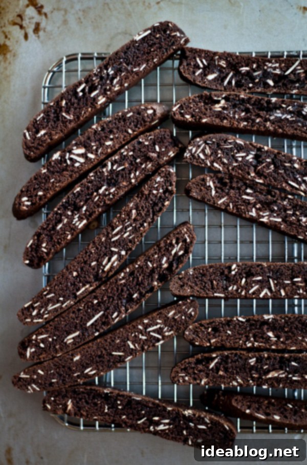 Sea Salted Double Chocolate Biscotti 3 Freshly Baked Double Chocolate Biscotti with Sea Salt