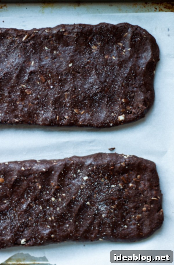 Sea Salted Double Chocolate Biscotti 4 Biscotti Dough Ready for Baking