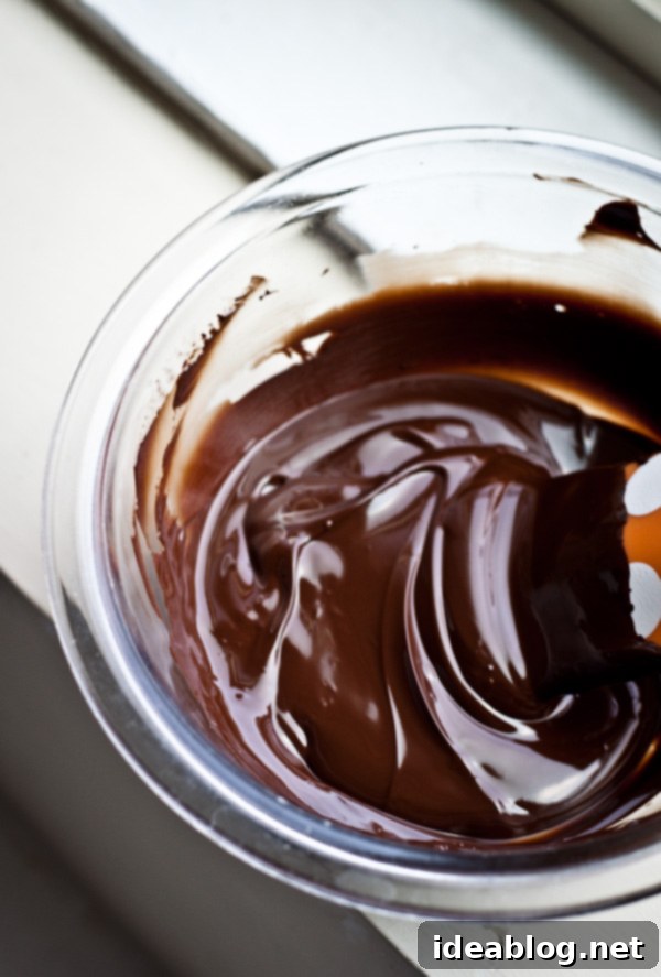 Sea Salted Double Chocolate Biscotti 5 Melted Dark Chocolate for Biscotti Dipping