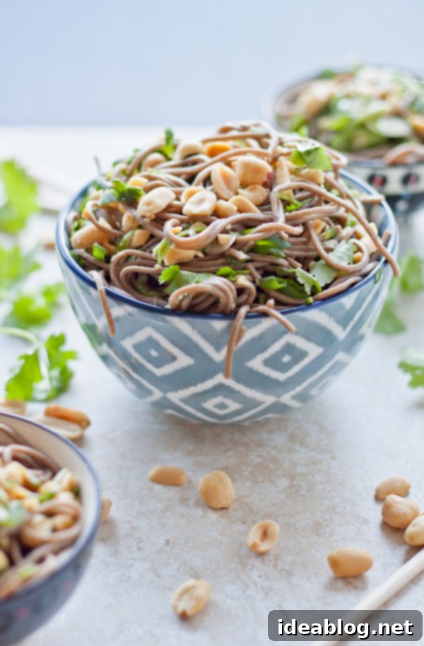 Peanut Noodle Zing 2 Asian Noodle Salad - Hero Shot