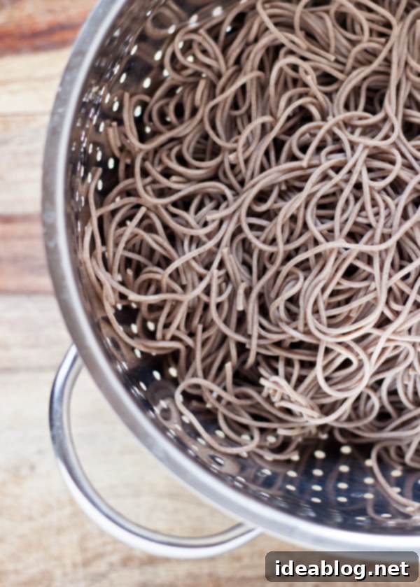Peanut Noodle Zing 5 Cooked Soba Noodles Ready for Dressing