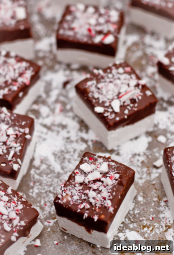Mint Chocolate Cloud Puffs 4 Hand Dipping Homemade Peppermint Marshmallows in Chocolate