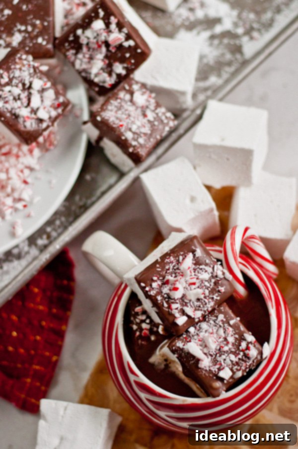 Mint Chocolate Cloud Puffs 5 Close-up of Chocolate Dipped Peppermint Marshmallows on a Tray