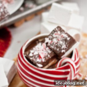 Mint Chocolate Cloud Puffs 6 Chocolate Dipped Peppermint Marshmallows