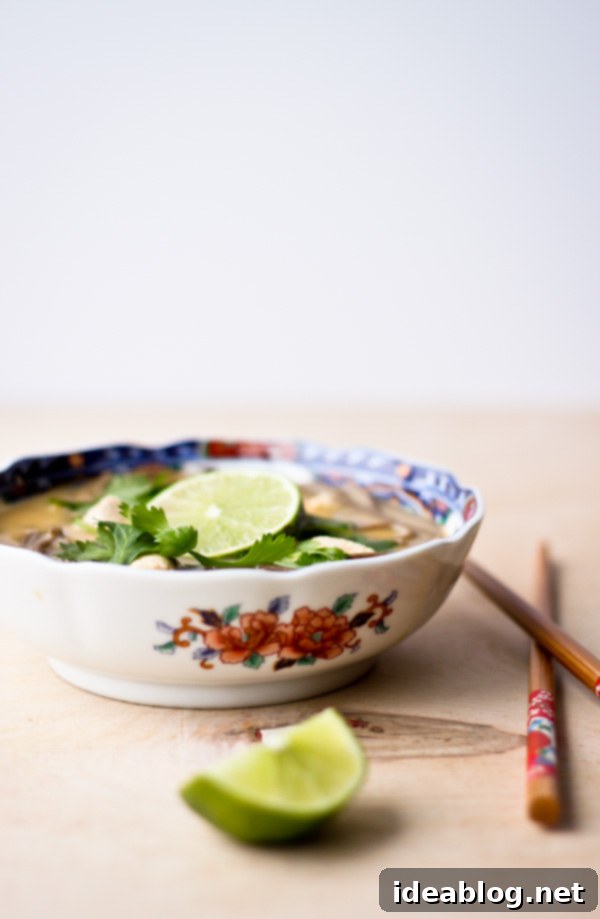 Velvety Thai Coconut Chicken Noodle Soup 5 Thai Coconut Chicken Noodle Soup