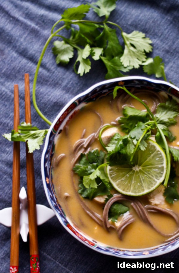 Velvety Thai Coconut Chicken Noodle Soup 6 Thai Coconut Chicken Noodle Soup
