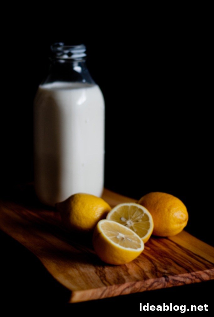 Homemade Ricotta: So Easy, So Delicious 3 Homemade Ricotta Ingredients