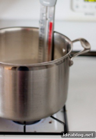 Homemade Ricotta: So Easy, So Delicious 4 How to Make Ricotta Cheese