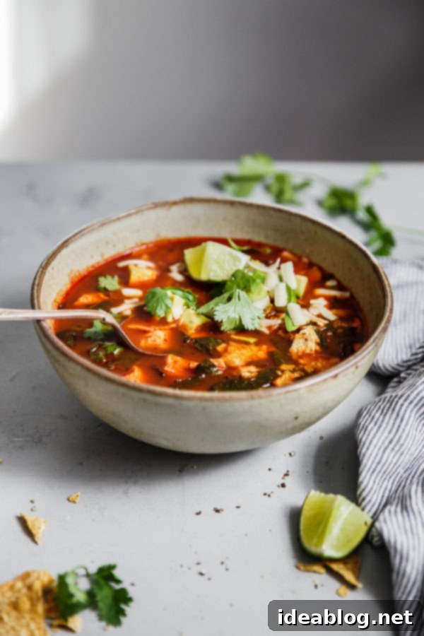 English Title Authentication 3 A pot of authentic Chicken Tortilla Soup simmering on the stove, its rich color and inviting aroma filling the kitchen.