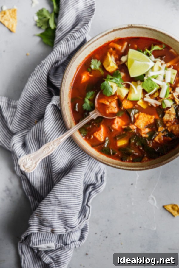 The BEST Mexican Tortilla Soup - this amazing chicken tortilla soup gets its incredible flavor from dried ancho chiles. Bright, smoky, and spicy! Top with crushed tortilla chips, diced avocado, cilantro, grated cheddar cheese, and lime wedges. A beautifully presented bowl of Mexican Tortilla Soup, generously topped with crushed chips, avocado, cheese, cilantro, and a lime wedge.