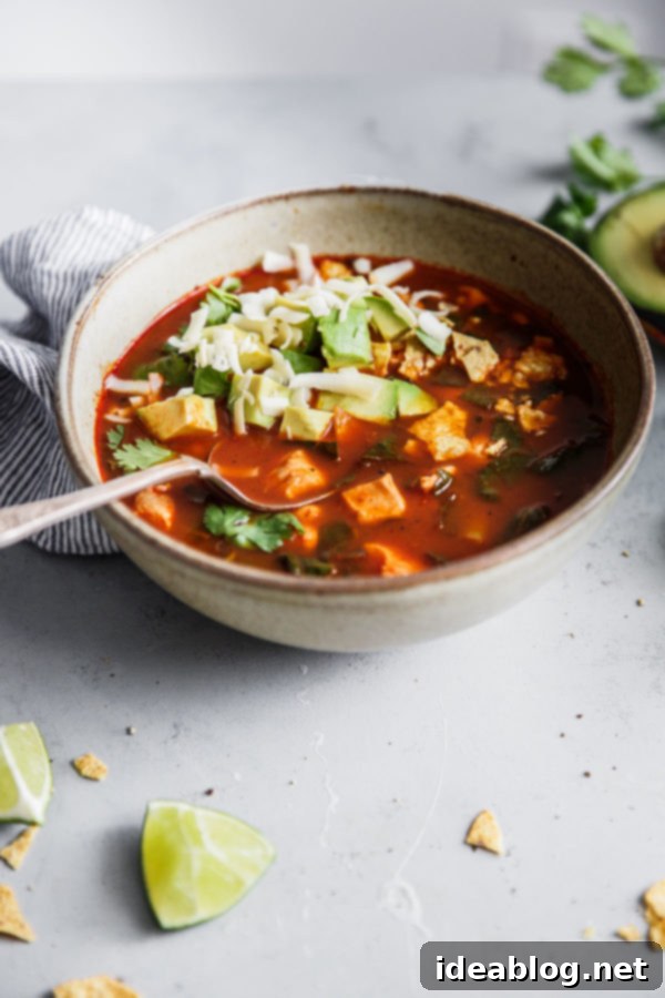 The BEST Mexican Tortilla Soup - this amazing chicken tortilla soup gets its incredible flavor from dried ancho chiles. Bright, smoky, and spicy! Top with crushed tortilla chips, diced avocado, cilantro, grated cheddar cheese, and lime wedges. A steaming bowl of Mexican Tortilla Soup, garnished beautifully with a variety of toppings, ready for a delicious meal.