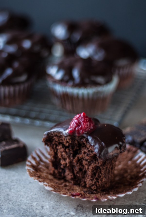 Decadent Dark Chocolate Chunk Raspberry Muffins 4 Dark Chocolate Chunk Raspberry Muffins with a glossy ganache topping