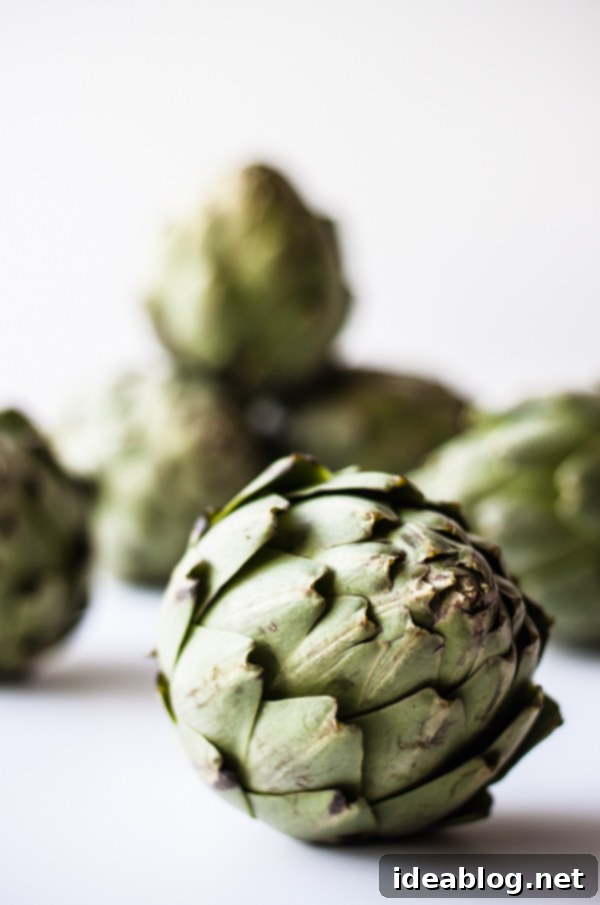 Cheesy Artichoke Gratin 3 Fresh Artichokes ready for preparation