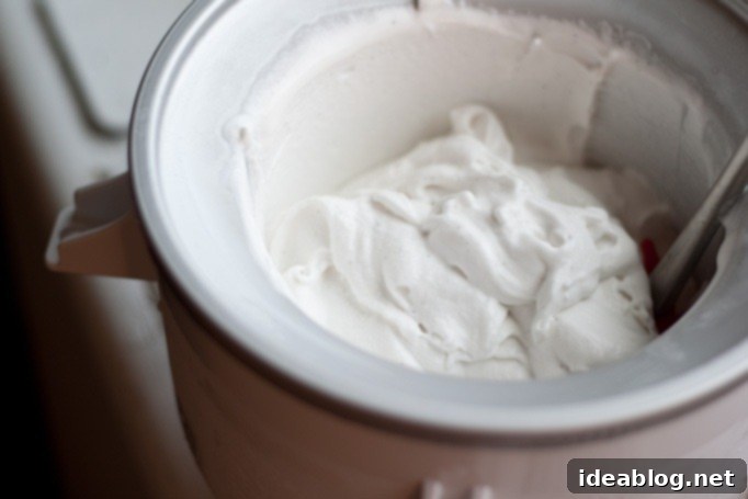 Vanilla Coconut Lemongrass Escape 2 Creamy Vanilla Coconut Lemongrass Ice Cream in a bowl with a spoon