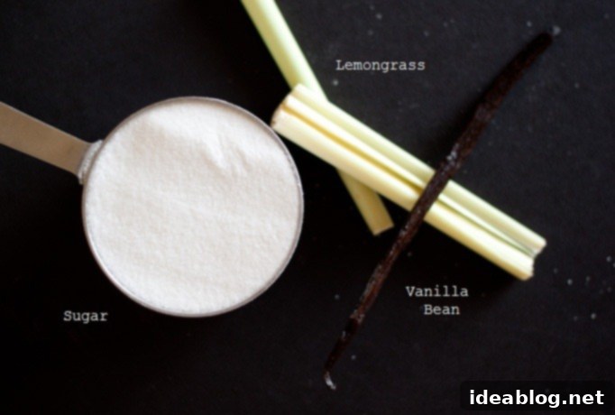 Vanilla Coconut Lemongrass Escape 3 Ingredients for vanilla coconut lemongrass ice cream including a can of coconut milk, sugar, vanilla bean, and lemongrass stalks