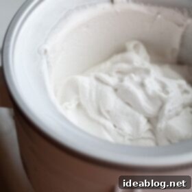 Vanilla Coconut Lemongrass Escape 7 Vanilla Coconut Lemongrass Ice Cream in a bowl