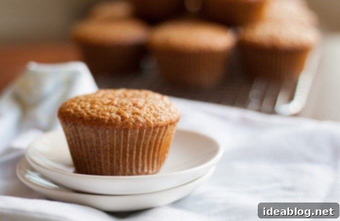 Golden Zesty Carrot Orange Muffins 2 Roasted Carrot Orange Muffins - A Deliciously Unique Recipe