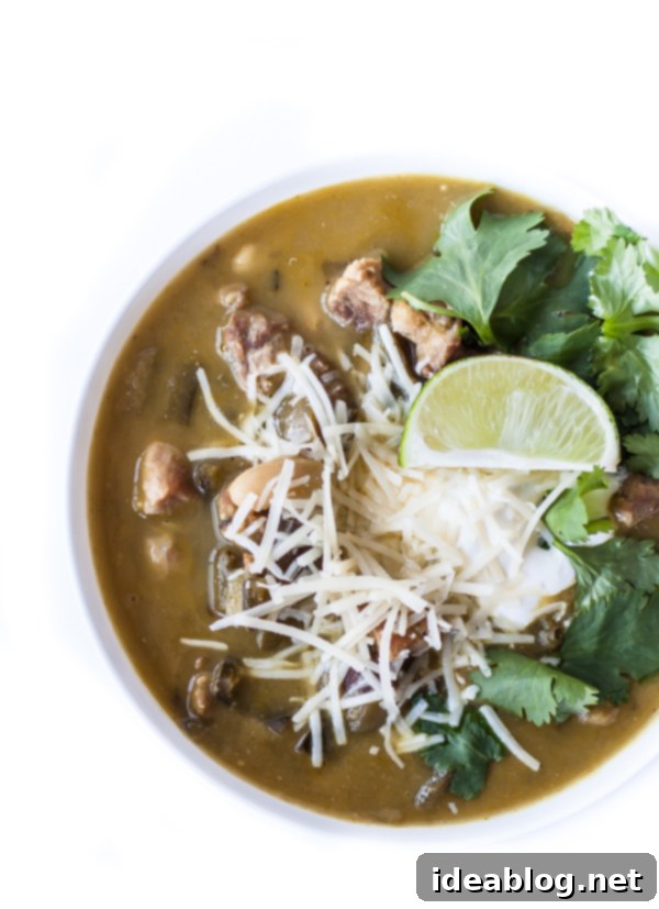 Chile Verde with Pork 2 Rich and creamy Green Pork Chili served in a bowl, garnished with fresh cilantro.