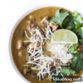 Chile Verde with Pork 7 Green Pork Chili