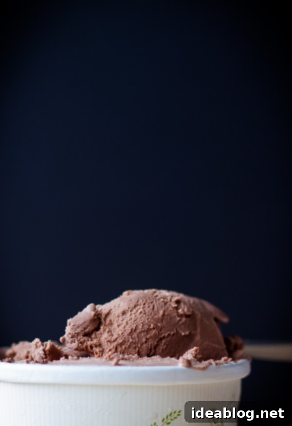 Midnight Chocolate Sundae with Black Sesame Macadamia Caramel 6 Scoops of rich chocolate ice cream, ready for delicious toppings.