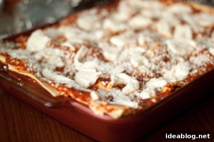 Celebrating Another Year 2 Delicious homemade eggplant lasagna, ready to be served for a special occasion