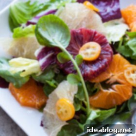 Tangy Citrus, Assertive Greens 2 Citrus Salad with Bitter Greens - Recipe Image